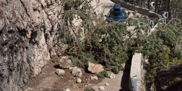 tcs – mobilitätskampagne